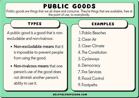 13.3 Public Goods .